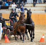  INEOS Grenadier Fedettpályás Fogathajtó OB Döntő